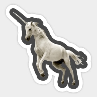 White Unicorn Sticker